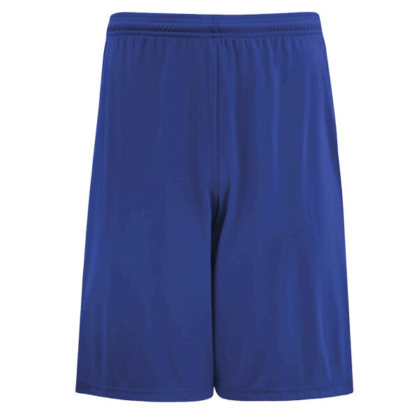 PRO TEAM SHORTS Thumbnail